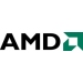  AMD 