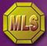  MLS 