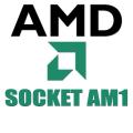  AMD sAM1 